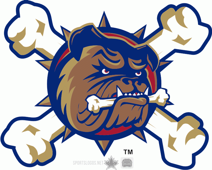 Hamilton Bulldogs 2016 Alternate Logo iron on heat transfer